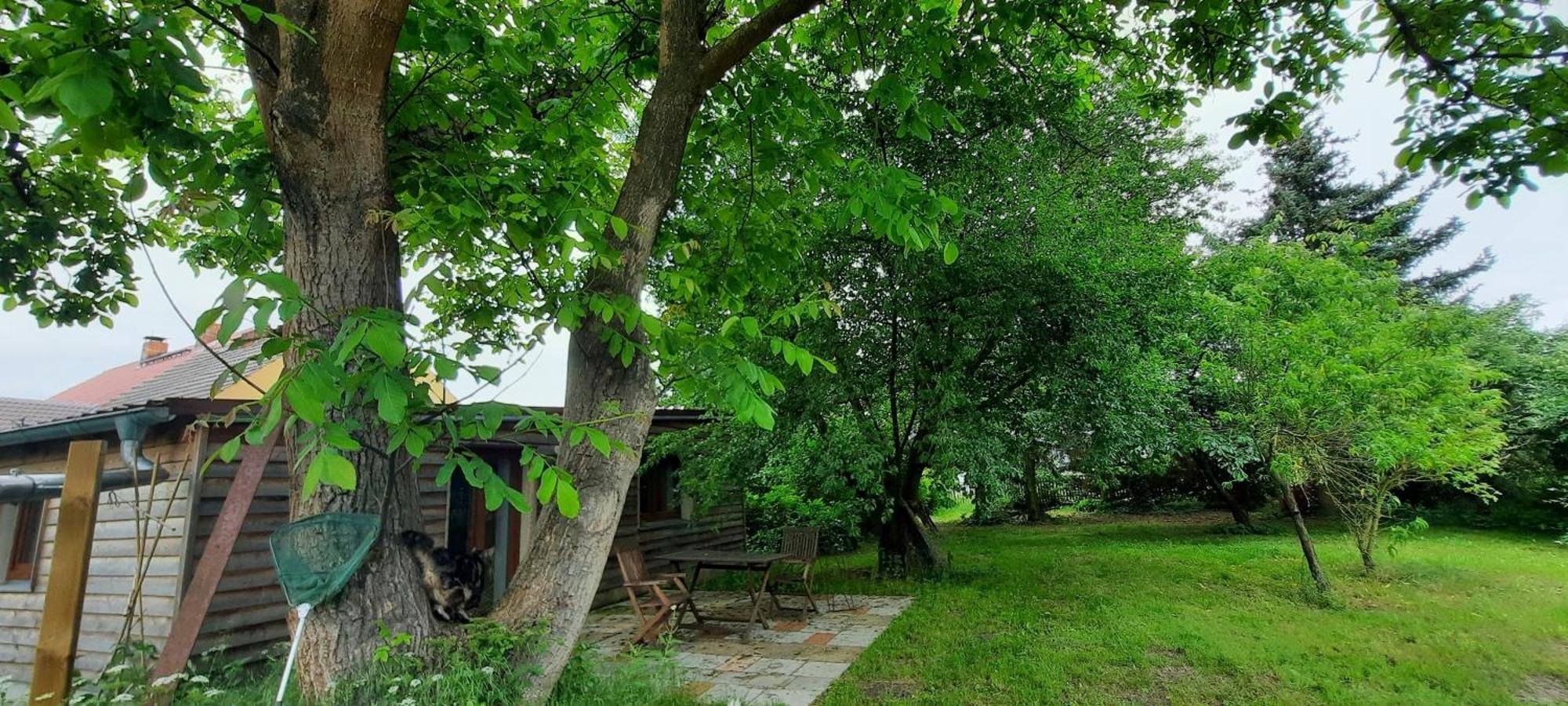 Ferienhaus Luna Vila Drahnsdorf Exterior foto