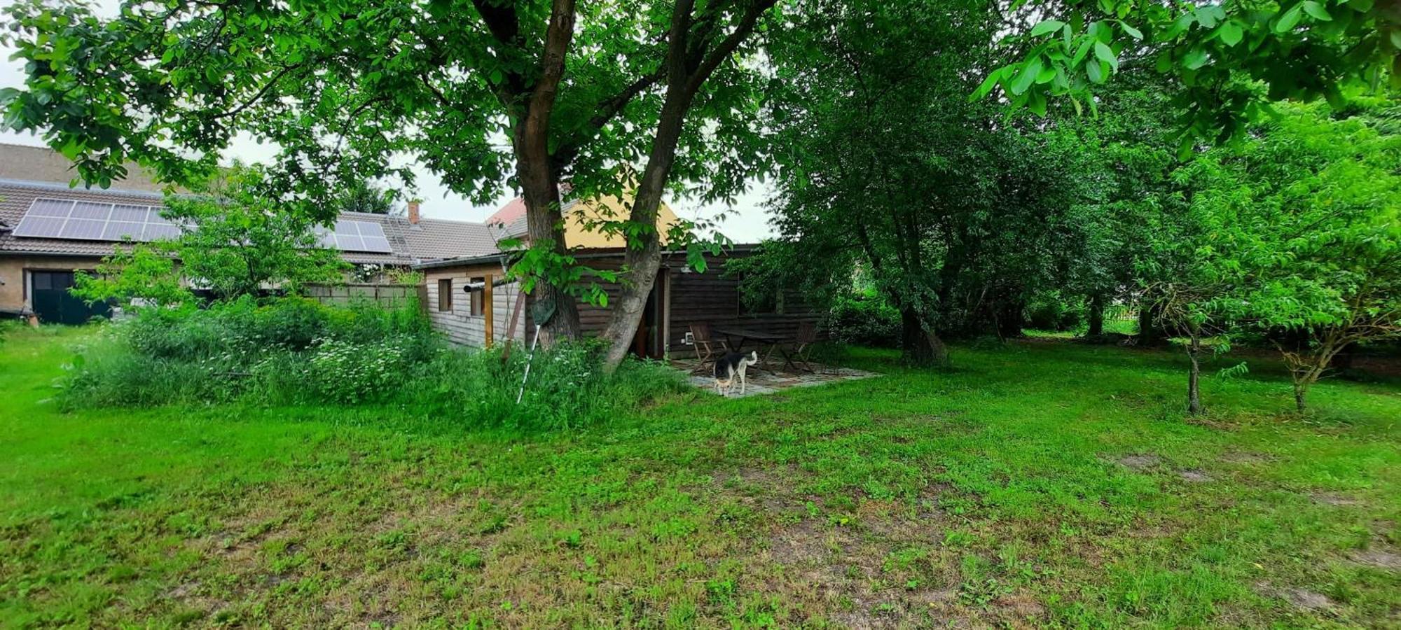 Ferienhaus Luna Vila Drahnsdorf Exterior foto